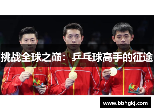 挑战全球之巅：乒乓球高手的征途