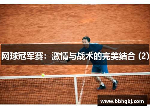 网球冠军赛：激情与战术的完美结合 (2)